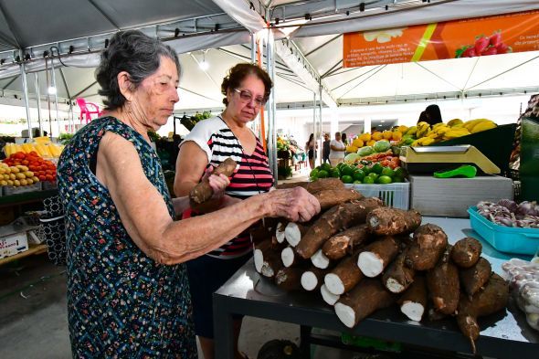 Prefeitura de Cuiab | Mercado do Porto: Uma deliciosa jornada pelos produtos tegionais e diferenciados