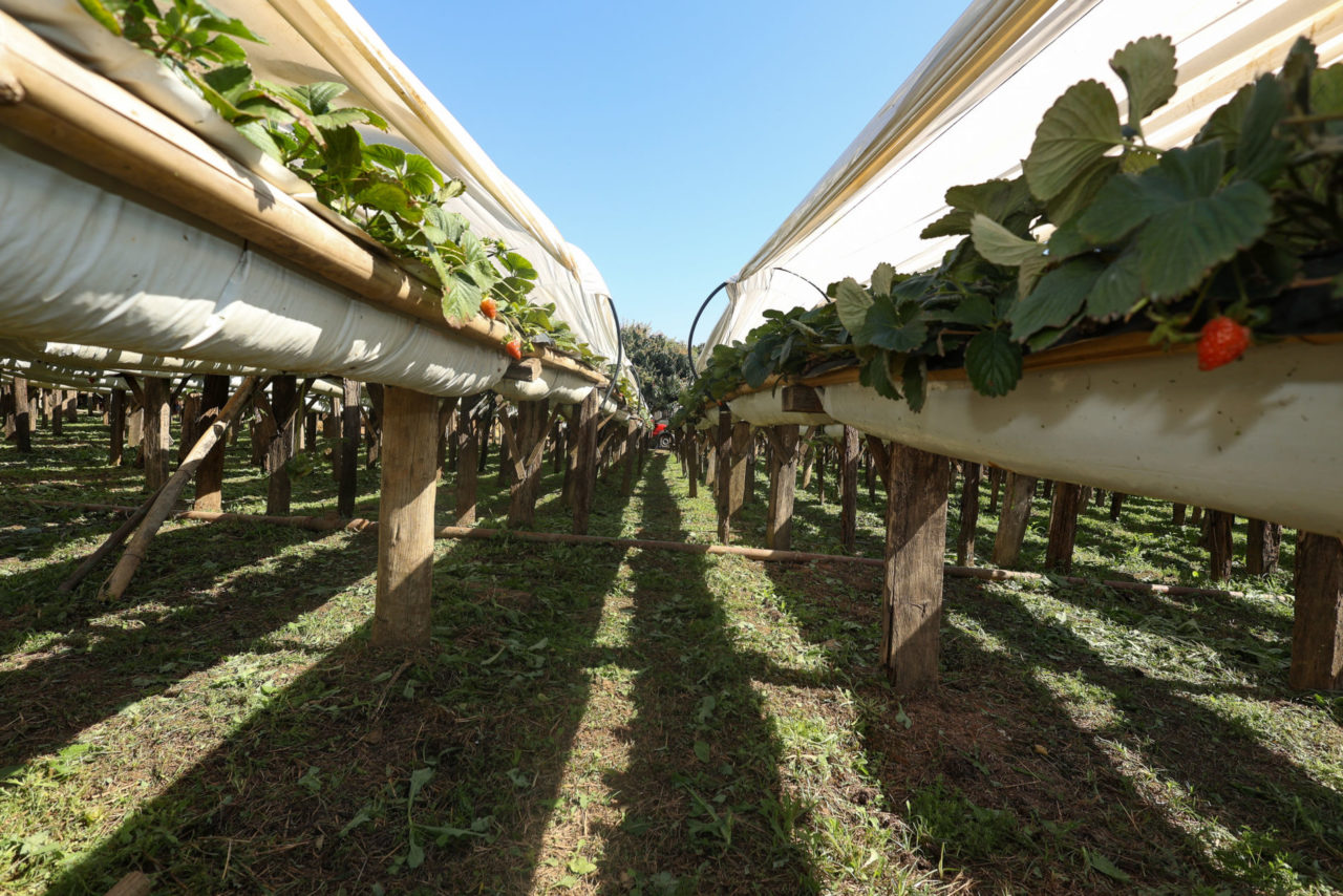 Prefeitura e Estado promovem mutirão do Cadastro Ambiental Rural nesta quinta (20)