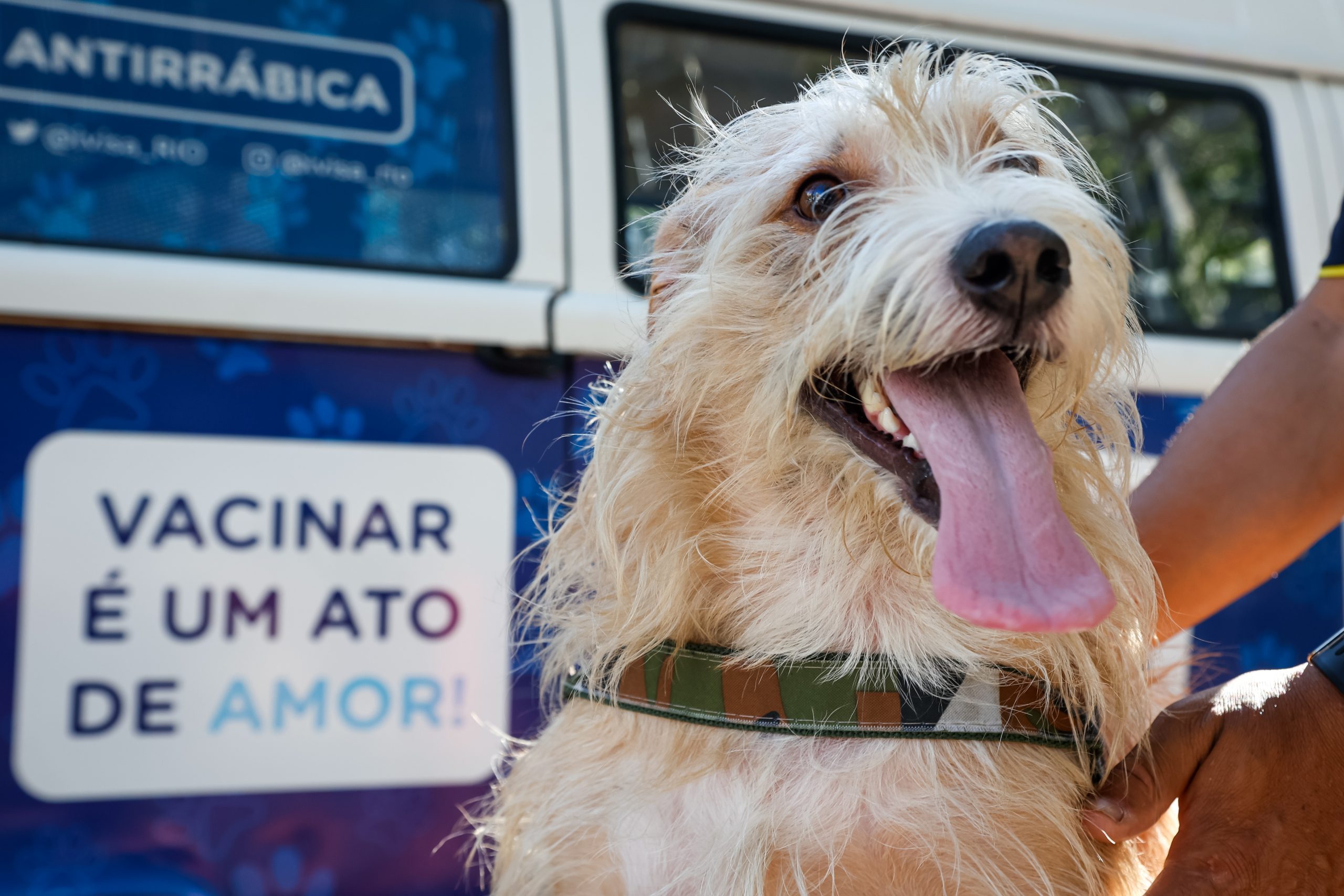 Campanha antirrábica chega à Zona Norte neste sábado - Prefeitura da Cidade do Rio de Janeiro