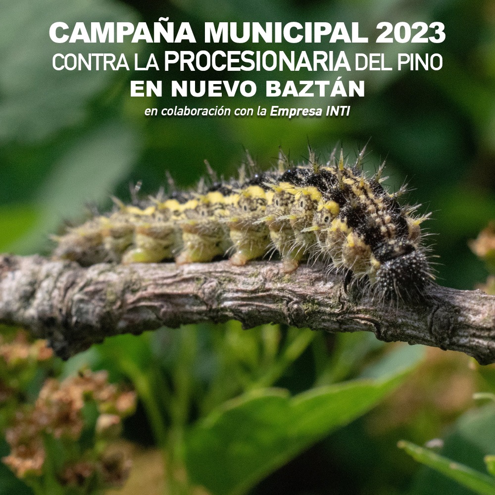 Campaña Procesionaria Nuevo Baztán 2023