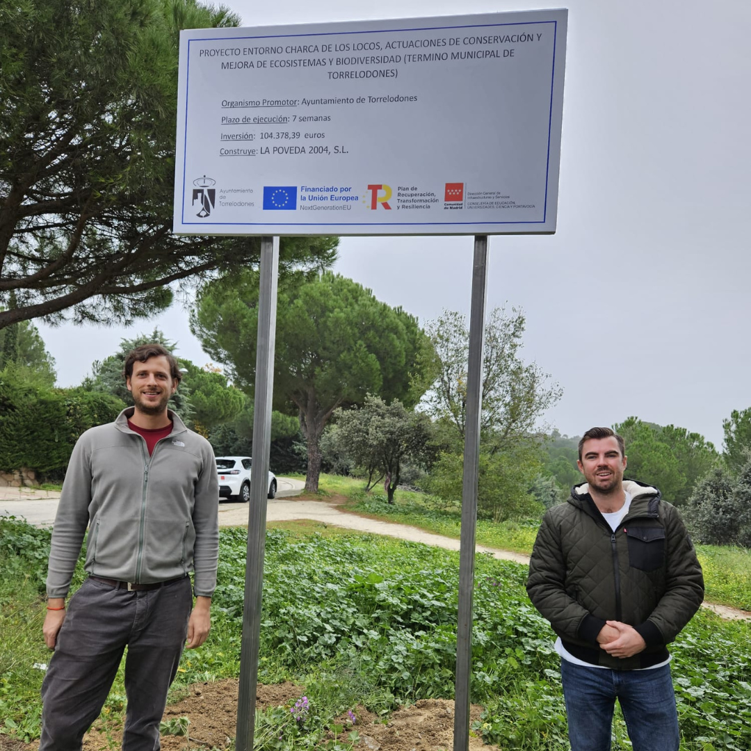 Torrelodones llevará a cabo actuaciones para mejorar el entorno del ecosistema en la Charca de Los Locos y conectar con Arco Verde