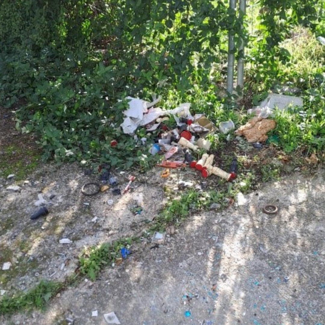 Vigilancia y mantenimiento del arbolado en Torrelodones