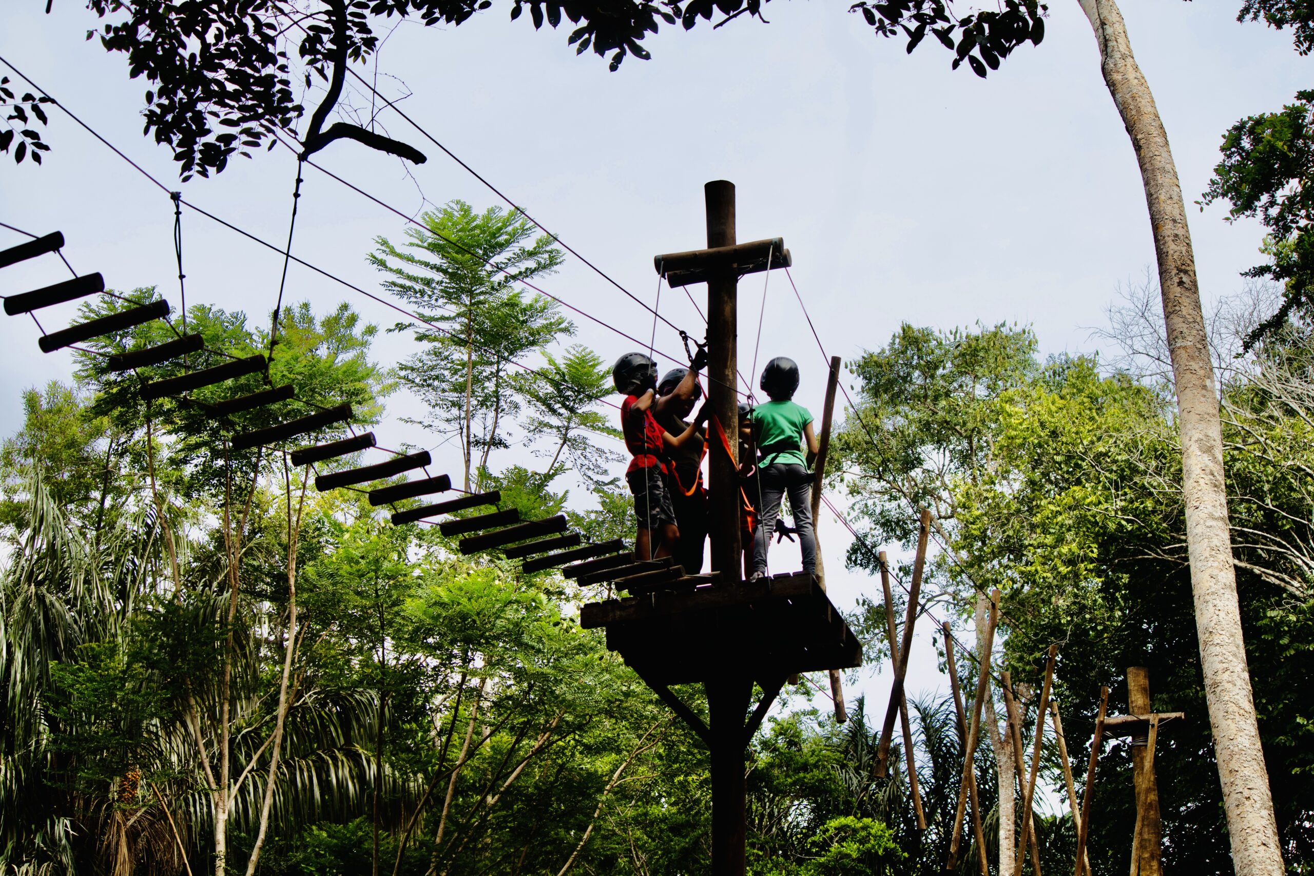 Bioparque da Amazônia oferece opções de lazer para o público no período das férias – Prefeitura Municipal de Macapá